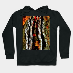 Stocksom Rock Specimen 4 Hoodie